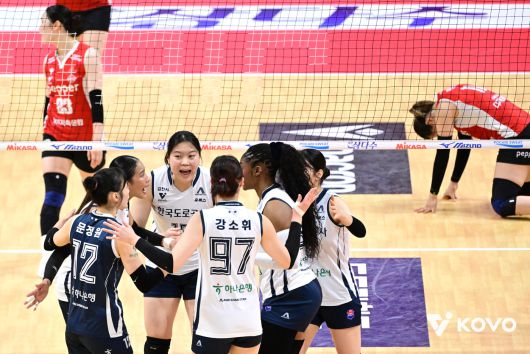 한국도로공사가 페퍼저축은행을 3-1로 꺾었다.(KOVO제공)