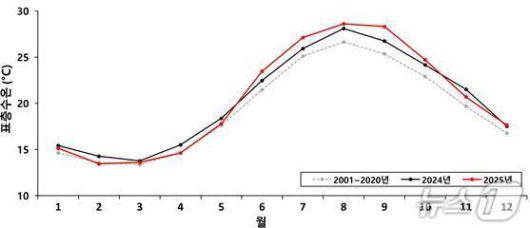 월별 표층수온 그래프. 1~5월까지는 평년대비 비슷한 경향을 보였지만 여름철 2000년대 최고기록을 경신했다. (수과원 제공. 재판매 및 DB금지)