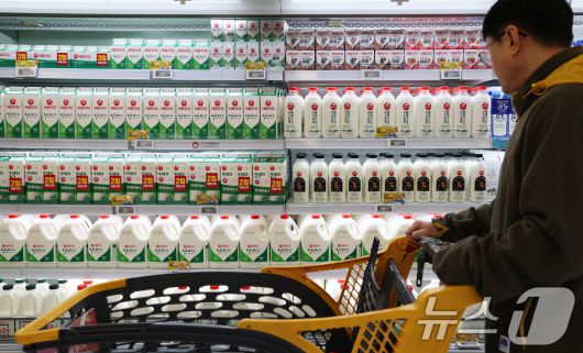 한 대형마트에서 고객이 서울우유 제품을 고르는 모습. 2026.1.8/뉴스1 ⓒ News1 오대일 기자