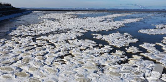 '1년 중 가장 춥다'는 절기상 대한(大寒)인 20일 경기 화성시 우정읍의 갯벌이 얼어있다. 기상청은 이번 한파가 21~22일까지 이어지며 절정에 달할 가능성이 크다고 보고 있다. 2026.1.20/뉴스1 ⓒ News1 김영운 기자