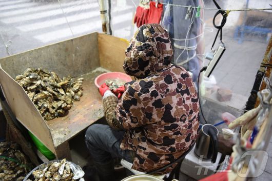 한파가 찾아든 20일 오전 시장에서 상인이 굴을 까고 있다. ⓒ News1 김성준 기자
