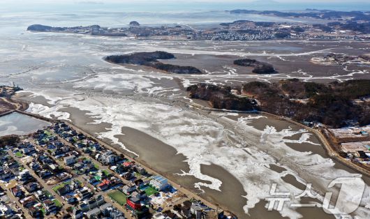 '1년 중 가장 춥다'는 절기상 대한(大寒)인 20일 경기 안산시 단원구 대부도 인근의 갯벌이 얼어있다. 기상청은 이번 한파가 21~22일까지 이어지며 절정에 달할 가능성이 크다고 보고 있다. 2026.1.20/뉴스1 ⓒ News1 김영운 기자