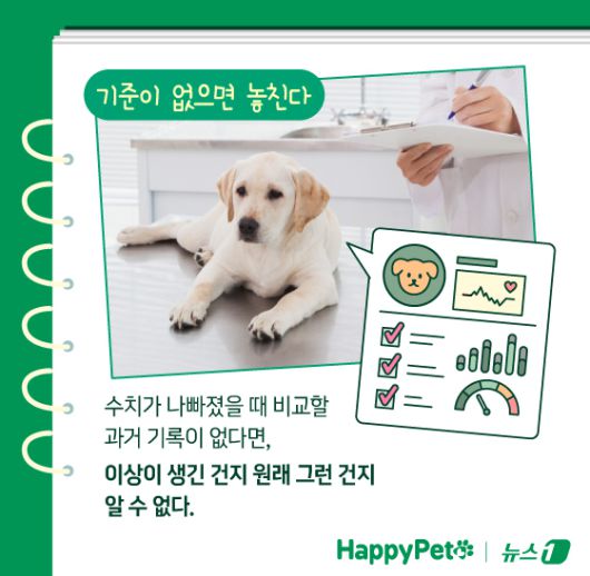 ⓒ News1 김지영 디자이너