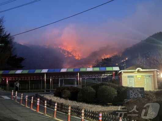 21일 오후 3시 2분쯤 광양 옥곡면 백운산 자락서 불이 나 소방당국이 대응 2단계를 발령하고 화재를 진화하고 있다. 2026.1.21/뉴스1 ⓒ News1 김성준 기자