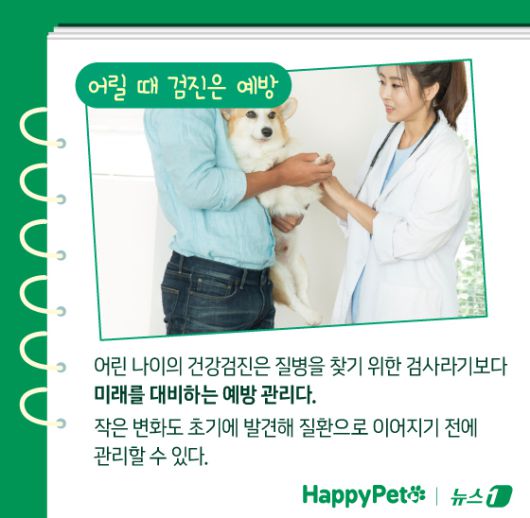 ⓒ News1 김지영 디자이너