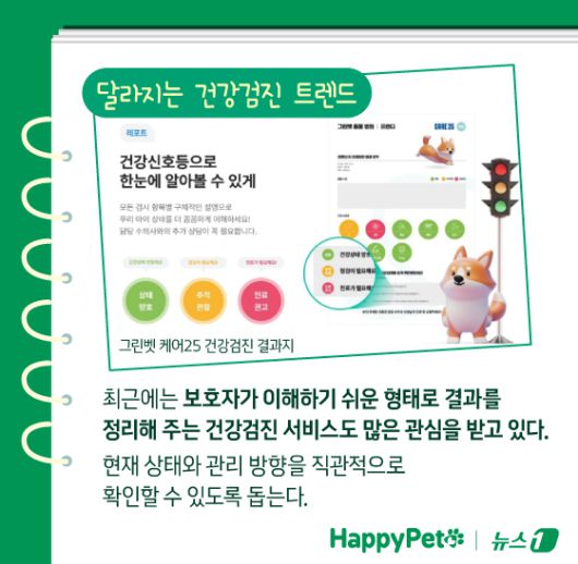 ⓒ News1 김지영 디자이너