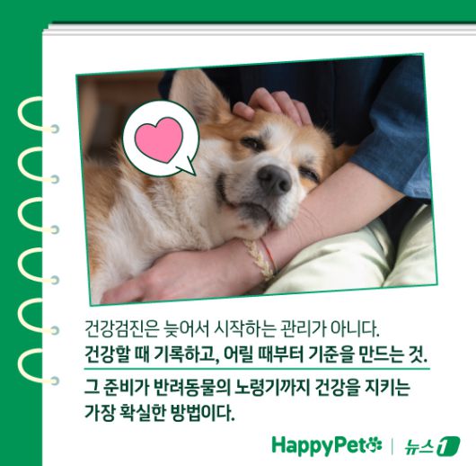 ⓒ News1 김지영 디자이너