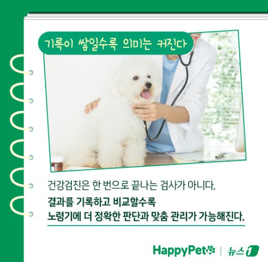 ⓒ News1 김지영 디자이너