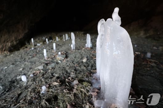 충북 제천시 덕산면 수산리 보덕암 인근 보덕굴 '거꾸로 자라는 고드름'.  2026.1.22. ⓒNews1 /뉴스1 손도언 기자