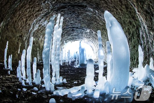 연일 영하권의 매서운 한파가 이어진 지난 22일 경기 연천군 신서면 경원선 폐터널에 역고드름이 솟아올라 장관을 펼치고 있다. 2026.1.22/뉴스1 ⓒ News1 이호윤 기자
