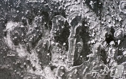 연일 북극 한파가 지속되고 있는 23일 경기 화성시 멱우지에 설치된 수상태양광발전소 주변이 얼어 있다. 2026.1.23/뉴스1 ⓒ News1 김영운 기자