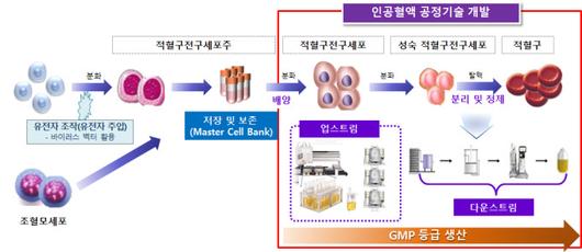 뉴스핌