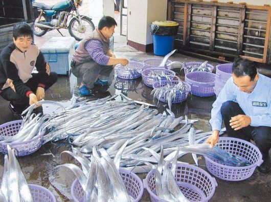 [베이징=뉴스핌] 최헌규 특파원 = 2022.08.08 chk@newspim.com