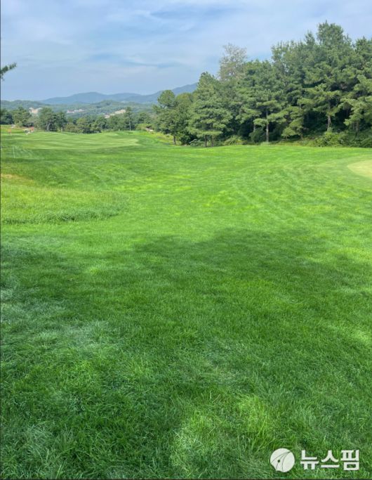 [이천=뉴스핌] 김용석 기자 = 질긴 러프와 좁은 페어웨이가 특징인 블랙스톤. 2022.09.15 fineview@newspim.com