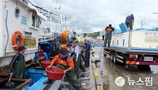 [울진=뉴스핌] 남효선 기자 = 동해안의 최고의 어업전진기지이자 해양생물 종 다양성의 보고인 울진 죽변항. 2022.12.11 nulcheon@newspim.com