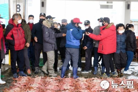 [울진=뉴스핌] 남효선 기자 = 대게 주산지인 경북 울진 죽변항의 대게 위판 모습. 2022.12.11 nulcheon@newspim.com