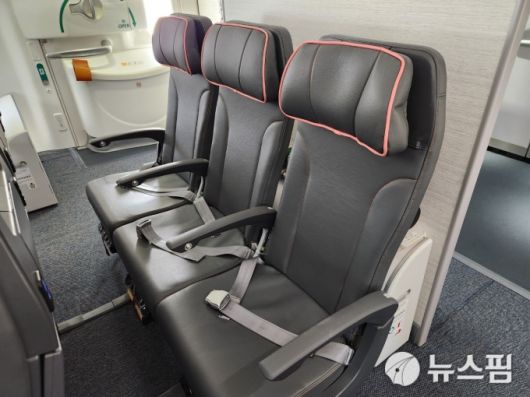 에어재팬이 직접 제작한 가죽과 쿠션을 사용한 시트. 2024.6.22 [사진=이영태 여행선임기자]