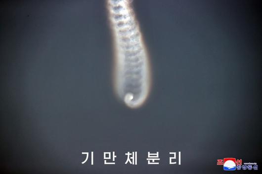 뉴스핌