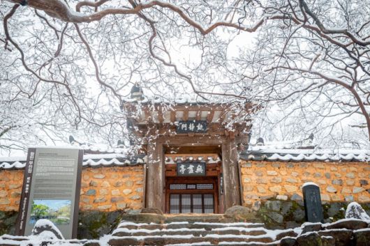 눈 내린 무진정 [사진=함안군] 2025.01.13