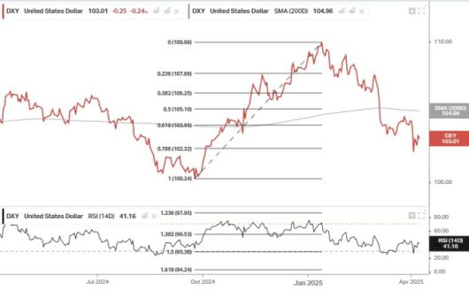 달러인덱스(DXY)의 최근 1년 추이