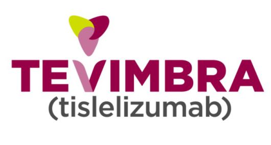 테빔브라(성분명: 티슬렐리주맙) 로고 [사진=베이진 홈페이지]