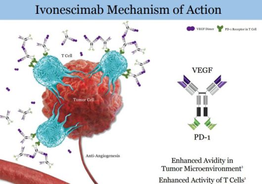 이보네시맙의 작용 원리 [사진=서밋 테라퓨틱스]