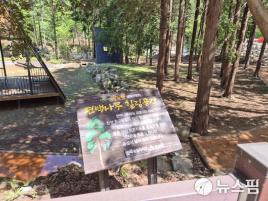 [임실=뉴스핌] 정영희 기자 = 전북 임실군에선 '성수산 왕의 숲 생태관광지' 내 자연휴양림을 즐길 수 있다. 2025.05.07 chulsoofriend@newspim.com