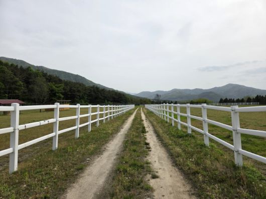 [전북=뉴스핌] 이정아 기자 = 전북 장수목장 전경. 2025.05.09 plum@newspim.com