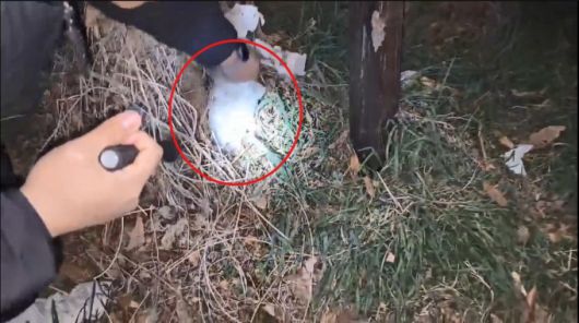 평택경찰서는 태국 등 해외에서 다량의 필로폰을 밀반입해 국내에 '던지기' 방식으로 유통하려 한 국제 마약조직 일당 7명을 검거하고 이 중 5명을 구속했다고 29일 밝혔다. [사진=경기남부경찰청]