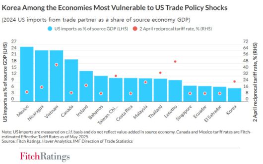 2024년 미국의 무역 상대국별 수입액이 해당 국가 GDP에서 차지하는 비중. [자료=피치] 2025.06.05 plum@newspim.com