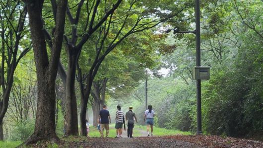 시민들이 미사경정공원 내 숲길을 산책하며 자연을 만끽하고 있다. [사진=국민체육진흥공단]