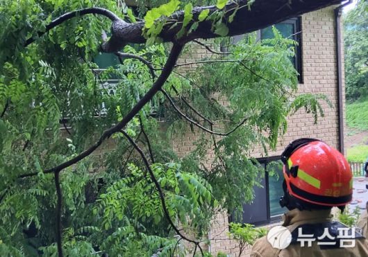 과천시 문원동에선 나무가 단독주택 지붕 위로 쓰러졌다. [사진=경기도소방재난본부]