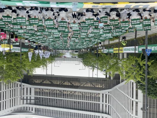 간호사들이  2일 보건복지부 세종청사 앞에서 '진료지원 업무 수행 간호사 교육 및 자격 관리 투명화와 법제화 2차 촉구대회'를 개최했다. [사진=대한간호협회]  2025.06.02 sdk1991@newspim.com