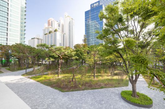 대한항공이 1차 그린 스카이패스(GREEN SKYPASS)로 도심 숲 조성에 참여한 서울 양천구 오목공원 전경. [사진=대한항공]