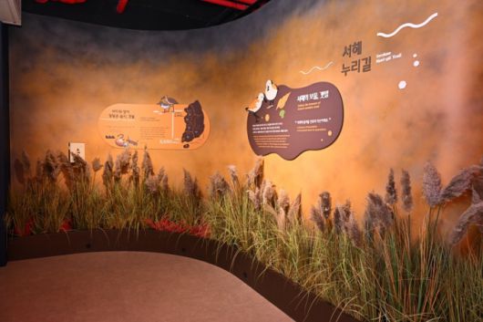 1층에 있는 해양동물 전시 공간 일부. [사진=시흥시]