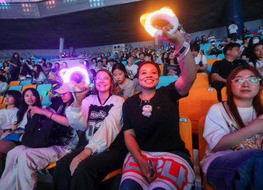 K팝 콘서트를 즐기는 관객. [사진=문화체육관광부]