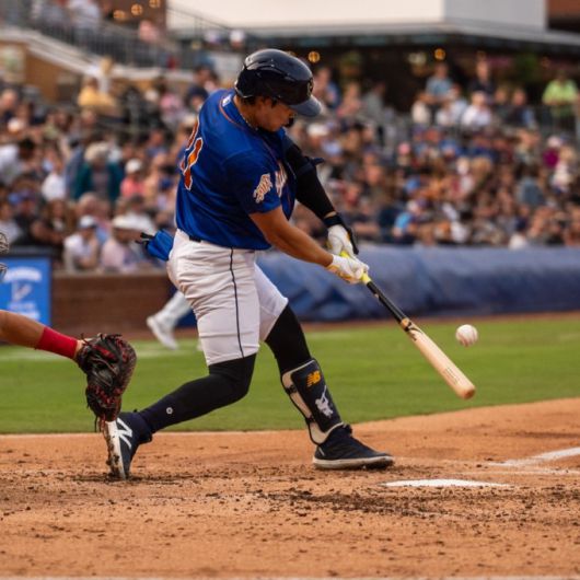 김하성. [사진=더럼 불스]