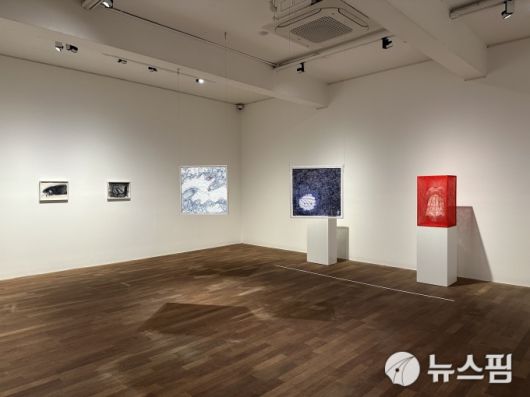 [서울=뉴스핌] 이지은 기자 = 시오타 치하루 작가의 '리턴 투 어스' 전시 전경. 2025.07.25 alice09@newspim.com