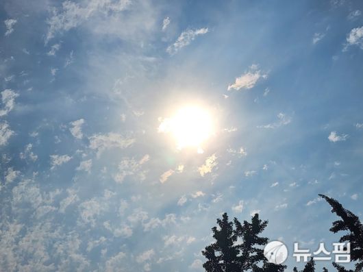 [수원=뉴스핌] 박승봉 기자 = 서울과 경기도 전역에 폭염경보가 발령 중이다. 2025.07.10 1141world@newspim.com