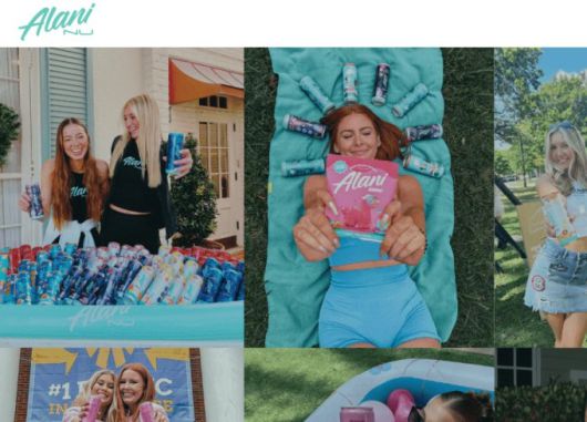 알라니 누 로고 [사진 = 업체 홈페이지 갈무리]