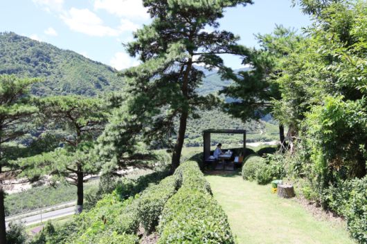 [서울=뉴스핌] 최문선 기자 = '따신골녹차정원' 티캠핑. [사진=한국관광공사] 2025.08.26 moonddo00@newspim.com