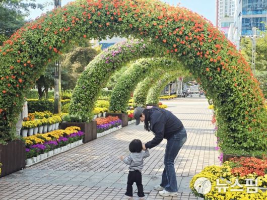 [무안=뉴스핌] 조은정 기자 = '2025년 무안군화 국화전시회'가 열리고 있는 전남 무안군 삼향읍 남악 중앙공원. 2025.10.23 ej7648@newspim.com