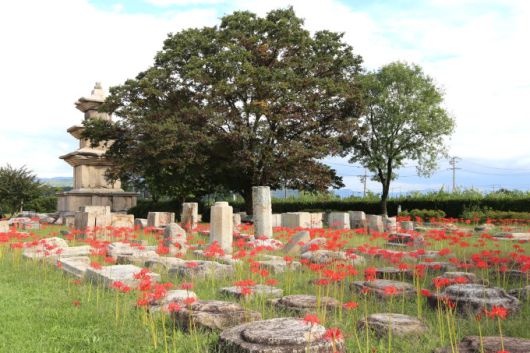 [서울=뉴스핌] 최문선 기자 = 경주국립박물관 야외 전시장. [사진=한국관광공사] 2025.10.28 moonddo00@newspim.com