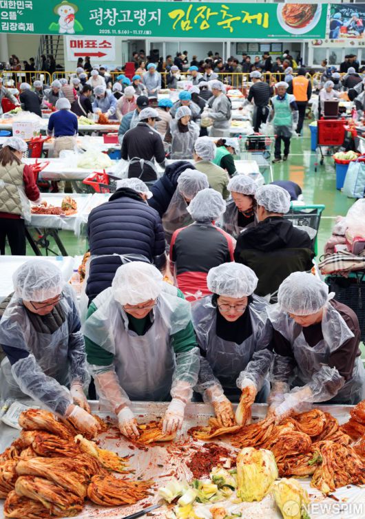 [서울=뉴스핌] 양윤모 기자 = 14일 강원 평창군 진부면민체육공원에서 개막한 '제8회 평창고랭지김장축제'를 찾은 방문객들이 김장을 담그고 있다. 평창산 고랭지 배추를 비롯해 모든 식재료를 국내산으로 사용하는 평창고랭지김장축제는16일까지 진행한다. [사진=평창군청] 2025.11.14  yym58@newspim.com