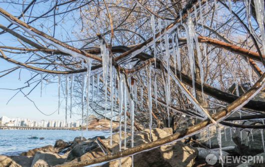 [서울=뉴스핌] 윤창빈 기자 = 연일 강추위가 지속되고 있는 5일 서울 여의도 한강변에 고드름이 얼어있다. 2025.12.05 pangbin@newspim.com