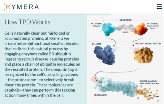 키메라 테라퓨틱스 로고 [사진 = 업체 홈페이지 갈무리]