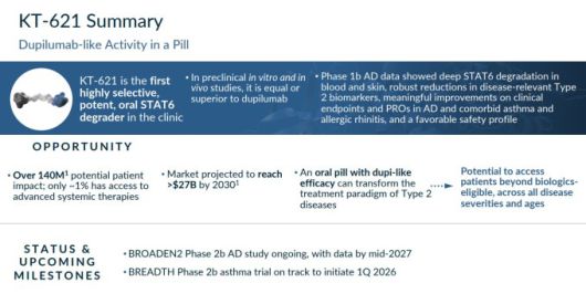 키메라 테라퓨틱스의 KT-621 [자료 = 업체 홈페이지]