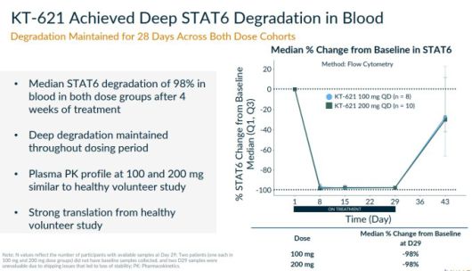 BroADen 임상시험에서 KT-621, 혈액에서 STAT6 98% 감소 효과 [자료 = 키메라 테라퓨틱스]