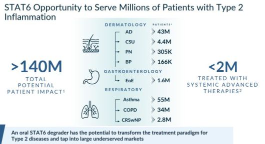 'STAT6 분해제' KT-621의 광범위한 적응증 기회 [자료 = 키메라 테라퓨틱스]