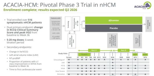비폐쇄성 비대성 심근병증(nHCM)에 대한 3상 ACACIA-HCM 임상시험 [자료= 사이토키네틱스 홈페이지]